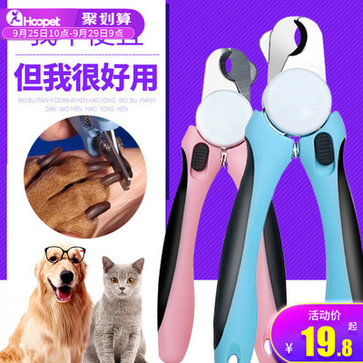 流浪貓收養(yǎng)指南 從收養(yǎng)到用品的全面注意事項